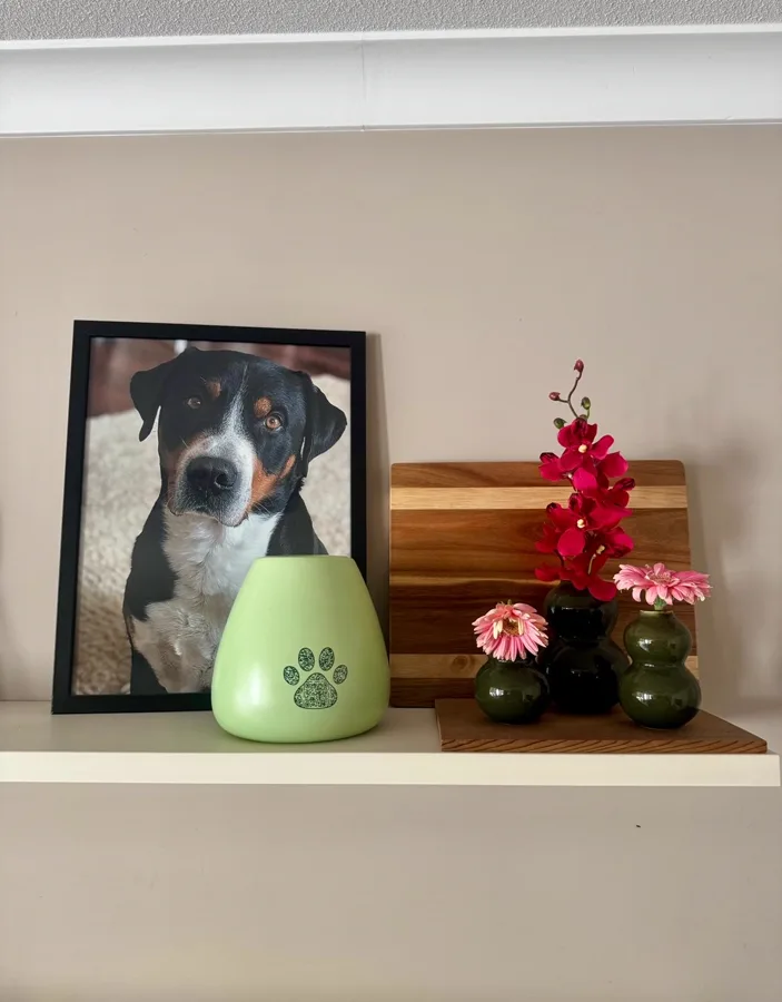 Diego's keepsake